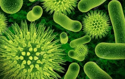 File image of germs. Photo: Collected