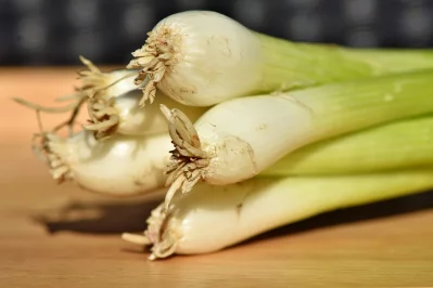 The image shows some spring onion. Photo: Pixabay