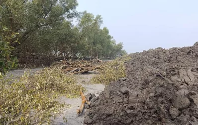 The undated image shows trees cutting down on the bank Kopotakkho River in Koyra upazila. Photo: Dhaka Tribune