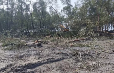 The undated image shows trees cutting down on the bank Kopotakkho River in Koyra upazila. Photo: Dhaka Tribune