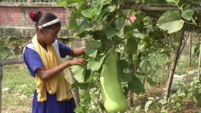A girl student is learning agricultural work at a primary school in Cox`s Bazar. Photo: Dhaka Tribune