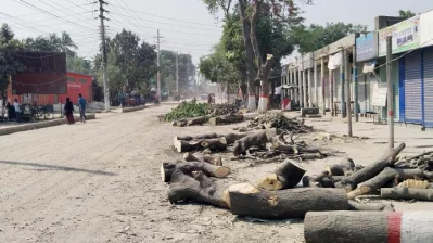 Not only for expansion, trees are being felled outside the area as well. May 8, 2024. Photo: Bangla Tribune