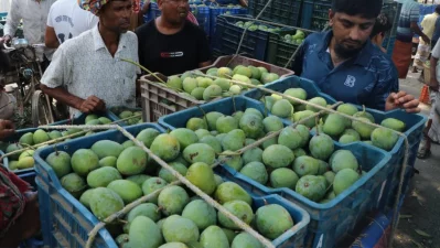 The image shows some mangoes in a market in Rajshahi on Sunday, June 9, 2024. Photo: Dhaka Tribune