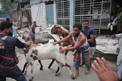 Photo: Ahadul Karim Khan/Dhaka Tribune