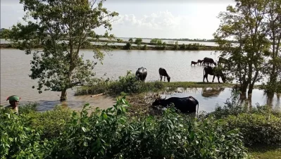 Khulna