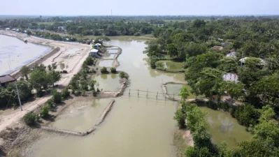 The illegal bamboo fence, which is visible across a canal in Shyamnagar’s Munshiganj, is being used by shrimp farmers to trap fish during tidal flows. Such activities obstruct the downstream flow and cause significant disruption. Photo: Center for Natural Resource Studies