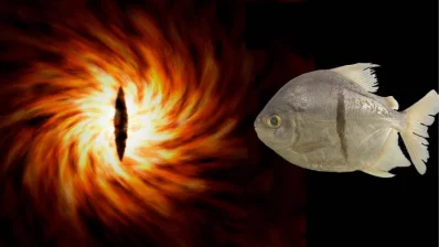 The fish`s distinctive black stripe reminded researchers of JRR Tolkien`s villain Sauron. (Courtesy NHM)