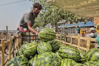 Local fruits see high demand in Dhaka. Photo: Ahadul Karim Khan Ahad/Dhaka Tribune