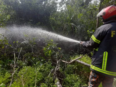 Firefighters work to douse the remaining flames after bringing 95% of the fire under control in the Shapla Beel area of the Sundarbans on Monday, March 24, 2025. Photo: UNB