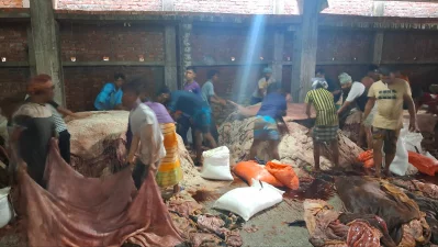 Savar tannery estate bustling with hide processing. Photo: Dhaka Tribune