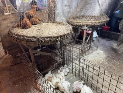 Image of poultry section at the market. Photo: Bangla Tribune