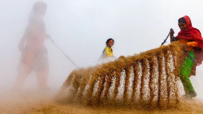 Traditional Rice Process in Bangladesh