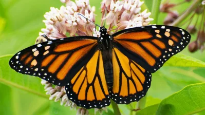 Photo: Dhaka Tribune