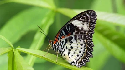 Photo: Dhaka Tribune