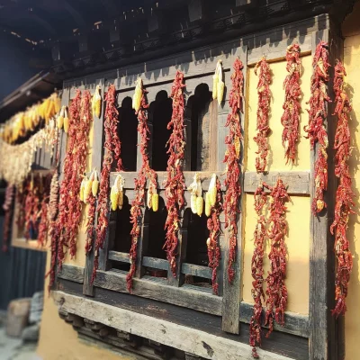Dried chillies at Simply Bhutan. Photo: Dhaka Tribune
