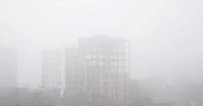 3124128