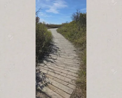 A wooden boardwalk trail at Cranberry Flats surrounded by vegetation.