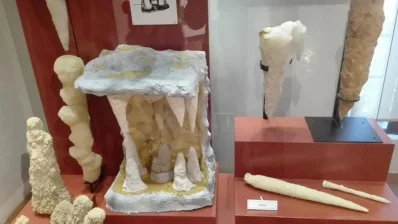 This image shows a geological exhibition of stalactites and stalagmites. Stalactites and stalagmites are mineral formations, known as speleothems, that typically develop in limestone caves over thousands of years. Photo: Reaz Ahmad