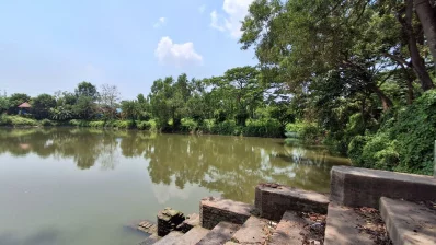 One of several ponds at the JC Bose Complex in Rarikhal, Munshiganj, offering visitors a peaceful view of the lush greenery. Photo: Dhaka Tribune/Collected