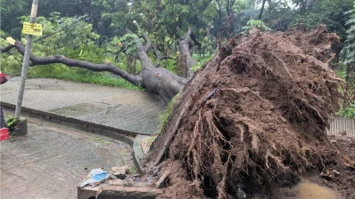Photo: Dhaka Tribune