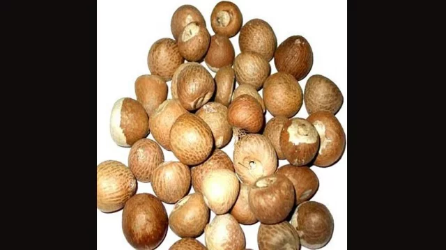 Betel nut clearance import