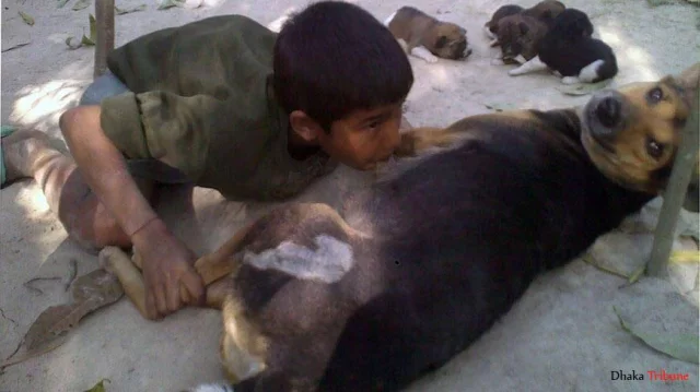 Poverty boy drinks dog milk for 6yrs