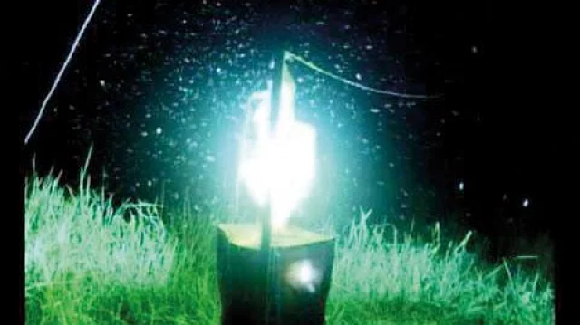 Light trap method becoming popular among farmers in Chittagong