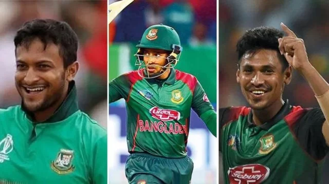 Mushuk qamchi Mushuk qamchi