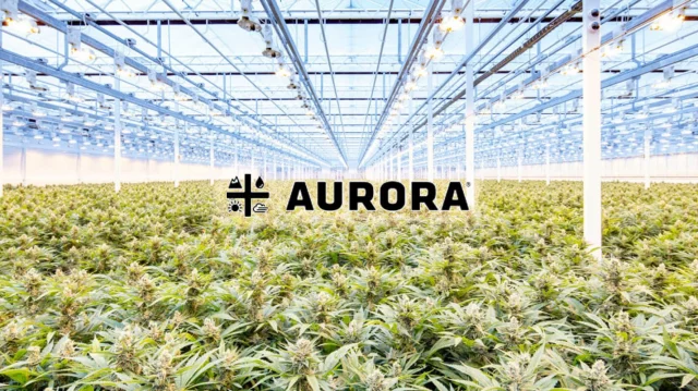 Aurora Cannabis (NASDAQ: ACB) up 3% premarket - we're bear this stock
