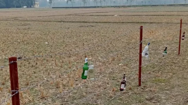 BSF hangs glass bottles on barbed wire at Lalmonirhat border