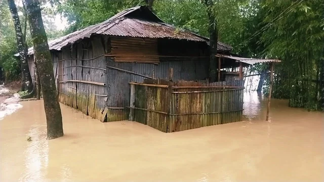 Porno tomosha: Onasi o‘g‘lini jinsiy aloqa qilishga majburlagan