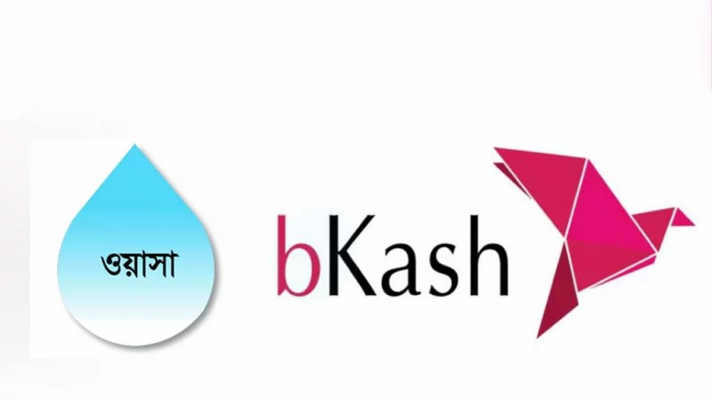 Өте үлкен жамбастары бар ең таңғажайып есектер