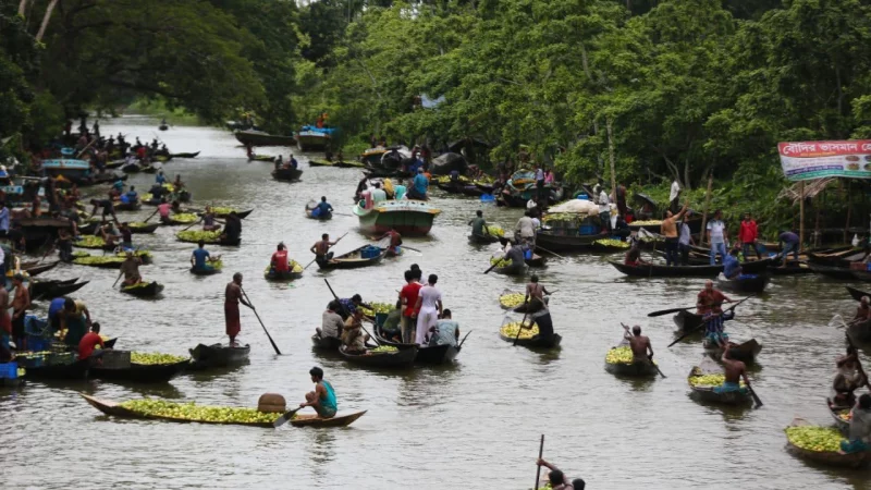 Covid-19 fallout: Floating guava market of Jhalakathi takes a dip in pandemic