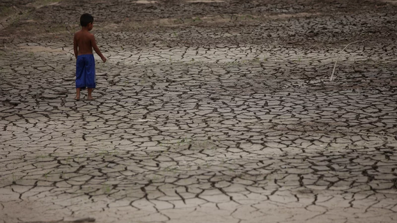 Study Climate change behind extreme Amazon drought