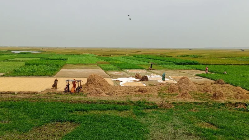 Sunamganj farmers fear loss of Boro harvest to flash floods