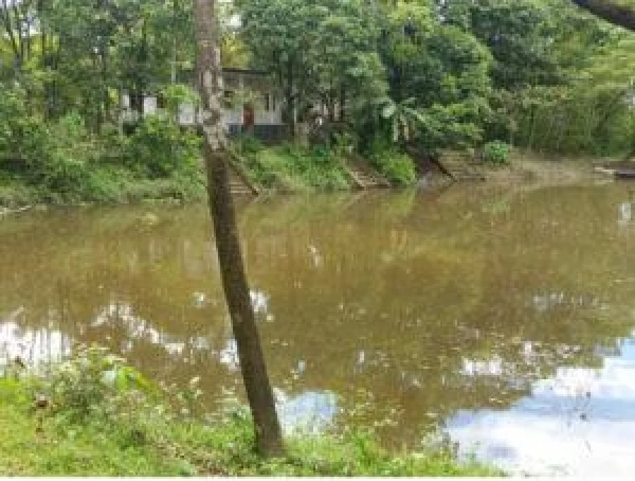 Photo: Mohammed Serajul Islam, Sylhet