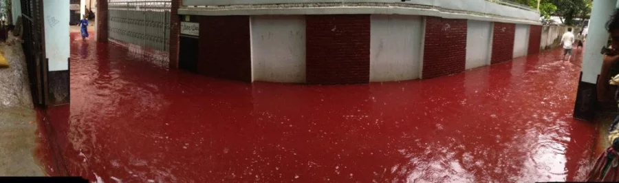 2016-09-13 blood dhaka eid-ul-azha