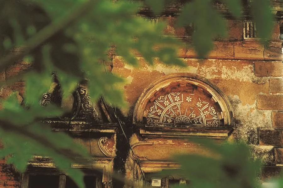 Photo: Syed Zakir Hossain/Dhaka Tribune