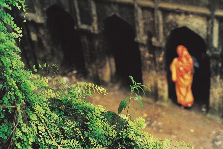 Photo: Syed Zakir Hossain/Dhaka Tribune
