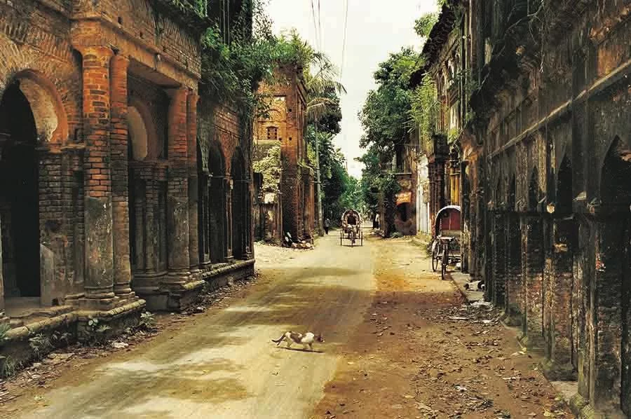 Photo: Syed Zakir Hossain/Dhaka Tribune