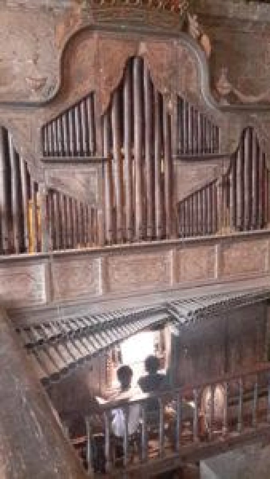 The bamboo organ of Las Pinas City