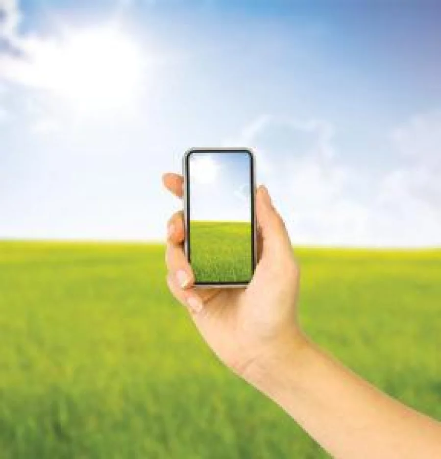 Cell phone in hand and country view of sunny day