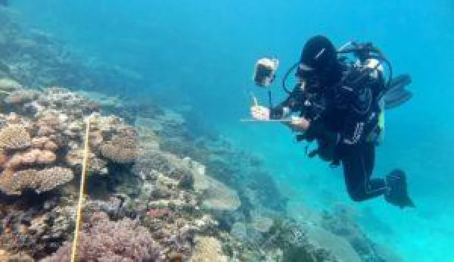 A undated handout photo received on November 29, 2016 from the ARC Centre of Excellence for Coral Reef Studies, shows researcher Grace Frank completing bleaching surveys along a transect line at One Tree Reef, Capricorn Group of Islands on the Great Barrier Reef off Northern Queensland following the bleaching event. Scientists on November 29, 2016, confirmed a mass bleaching event on the Great Barrier Reef this year killed more corals than ever before, but many popular areas escaped the worst in a big boost to the tourism industry. / AFP PHOTO / ARC Centre of Excellence for Coral Reef Studies. / Tory CHASE / ----EDITORS NOTE ----RESTRICTED TO EDITORIAL USE MANDATORY CREDIT " AFP PHOTO / TORY CHASE / ARC CENTRE OF EXCELLENCE FOR CORAL REEF STUDIES -- NO MARKETING NO ADVERTISING CAMPAIGNS - DISTRIBUTED AS A SERVICE TO CLIENTS - NO ARCHIVES --