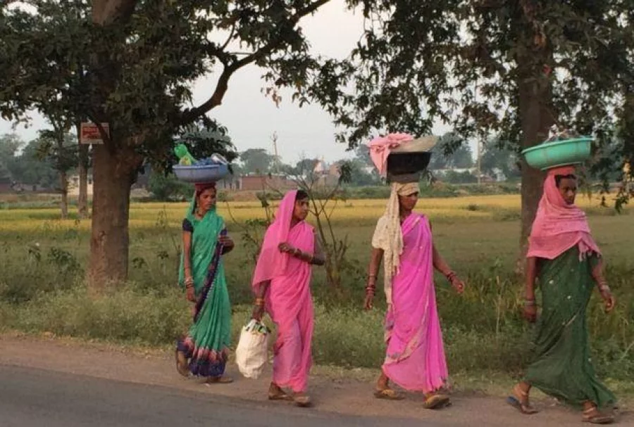 Officials say now every house in Dhamtari district has a toilet now. Photo: BBC