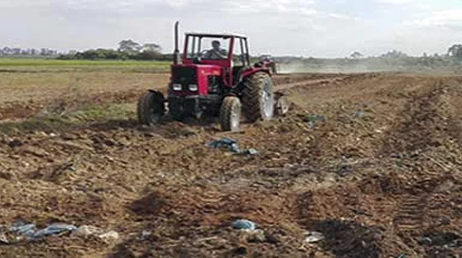 Gaibandha Sugar Mill