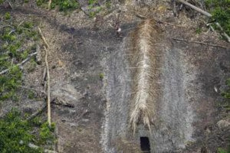 The longhouse which drew Stuckert’s attention. THE GUARDIAN 
