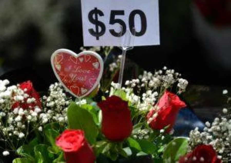 Roses are seen for sale for Valentine's Day in Sydney on February 13, 2017. Love may be in the air on February 14 but St. Valentine's Day is also peak time for scamming lonely hearts for money, an Australian government body warned on February 13.  / AFP PHOTO / Peter PARKS