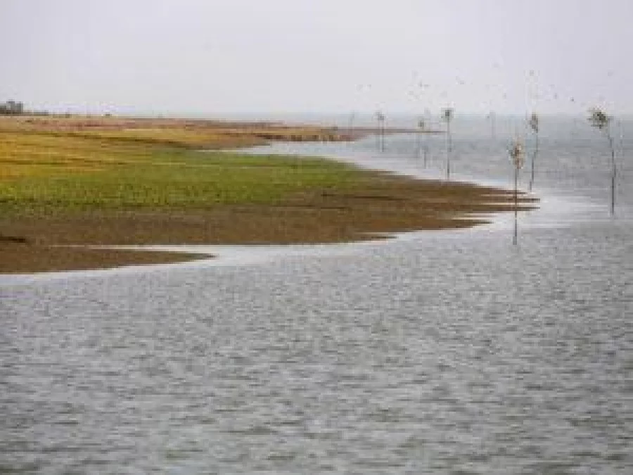 A view of the Thengar Char island in the Bay of Bengal, Bangladesh, February 2, 2017Mohammad Ponir Hossain/Reuters