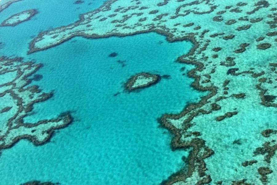 This photo taken on November 20, 2014 shows an aerial view of the Great Barrier Reef off the coast of the Whitsunday Islands, along the central coast of Queensland. The Great Barrier Reef Marine Park encompasses about 99 percent of the World Heritage-listed natural wonder, with the additional one percent outside the marine park but within the heritage-listed area -- about 3,600 square kilometres (1,390 square miles) -- being managed by the Queensland state government and includes most islands and ports, as well as lakes and other waterways. AFP PHOTO / SARAH LAI / AFP PHOTO / Sarah Lai