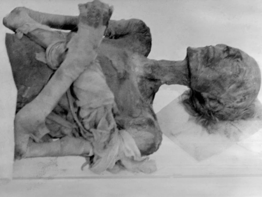 Paris, FRANCE: (FILES) This file picture taken 12 November 1976 at the Musee de L'Homme in Paris shows Pharaoh Ramses II's mummy during its treatment against a fungal infection. An Egyptian archaeological delegation returned from France 02 April 2007 with remnants of hair and bandages from Ramses II that were nearly sold on the Internet by French Jean-Michel Diebolt who advertised the samples online for 2,000 euros (2,633 dollars). Diebolt, who was briefly arrested by police in November 2006, said the samples came into his possession via his father who was part of a team of French scientists tasked with analysing the royal mummy in 1976. AFP PHOTO/FILES (Photo credit should read -/AFP/Getty Images)